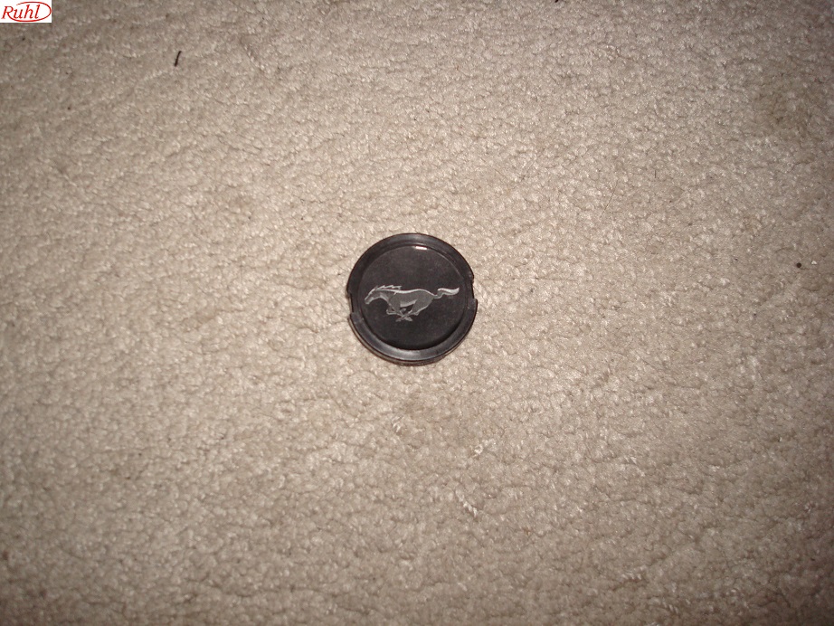 Wieldop Rally Mustang